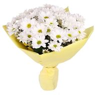 Букет з 7 ромашкових хризантем