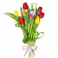 Bouquet of 9 Tulips