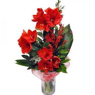 Bouquet from amaryllis