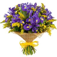 Bouquet of irises and mimosa