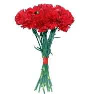 Bouquet of red carnations