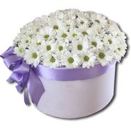 A bouquet of camomiles in a box