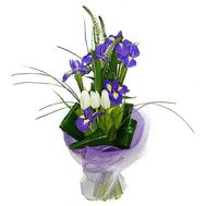 Bouquet of spring flowers