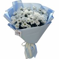 Bouquet from 11 chamomile chrysanthemums