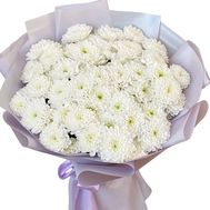 Bouquet of 15 chrysanthemums