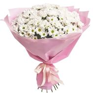 Букет з 15 ромашкових хризантем