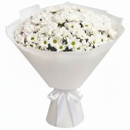 Букет из 15 ромашковых хризантем