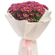 Букет з 19 ромашкових хризантем