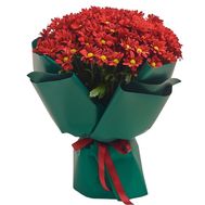 Букет з 21 ромашковою хризантеми