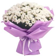 Букет з 35 ромашкових хризантем