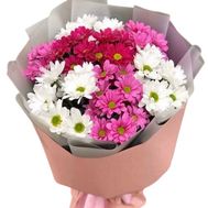 Букет з 7 різнокольорових хризантем