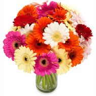 гербери букет