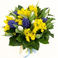 Hyacinths and mimosa