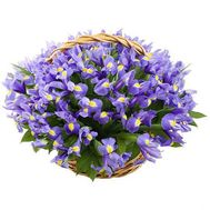 Basket of 51 irises