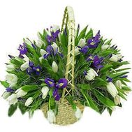 Корзина из 71 тюльпана и ирисов