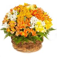 Корзинка альстромерий