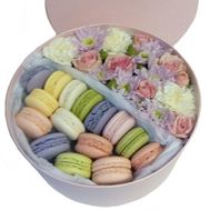 Macarons with delicate colors