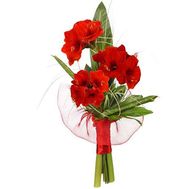 A small bouquet of amaryllis