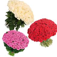 Неделя роз №3