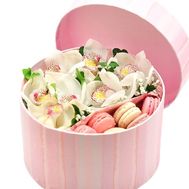 Delicate orchids and Macarons