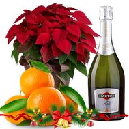 Новогодний подарок