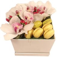 Orchids and Macarons in a Box