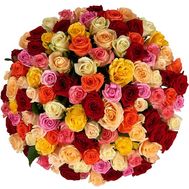 Multicolored roses