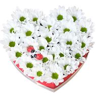 Heart of 7 Chrysanthemums