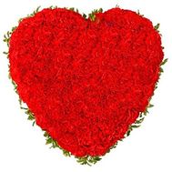 Heart of 101 red carnations