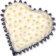 Heart of 15 Chrysanthemums