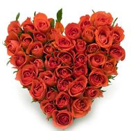 Heart of 41 roses