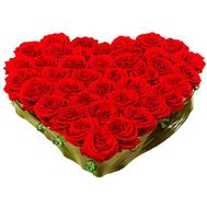 Heart of 55 roses
