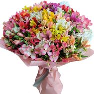 Большой букет из 101 альстромерии