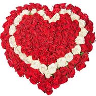 101 роза сердце