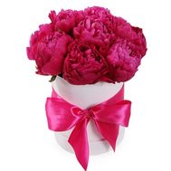 11 claret peonies in a box