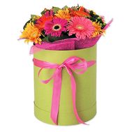 15 гербер в коробке