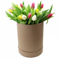15 тюльпанів в коробці