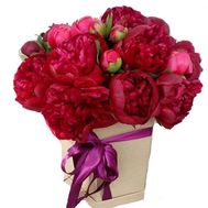 17 claret pions in a box