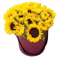 21 sunflowers in a box