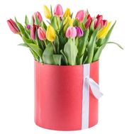 21 різнокольоровий тюльпан в коробці