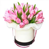 25 тюльпанів в коробці