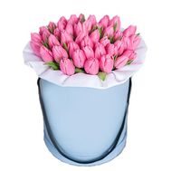 31 рожевий тюльпан в коробці
