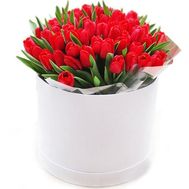 35 червоних тюльпанів в коробці