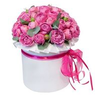 39 pink peonies in a box