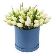 45 білих тюльпанів в коробці