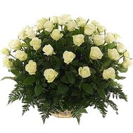 51 белая роза