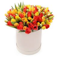 51 разноцвений тюльпан в коробці