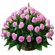 75 розовых роз в корзине