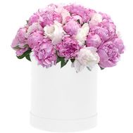 Белые и розовые пионы в коробке