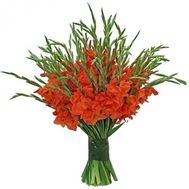 Большой букет из 51 гладиолуса